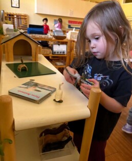 Lyonsgate Montessori School Casa student took inspiration from the field trip to a farm to learn more farm animal vocabulary.