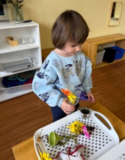 Lyonsgate Montessori School Toddler student working at the Montessori Flower Arranging activity. Thank you for all of your flower bouquet donations.