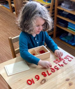 Lyonsgate Montessori School Casa student experiencing the relationship between number symbols and quantities with the Montessori Numbers and Counters material.