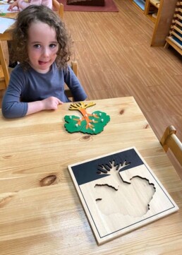 Lyonsgate Montessori School Casa student who worked hard to complete a Montessori Parts of a Tree puzzle outside of its frame.