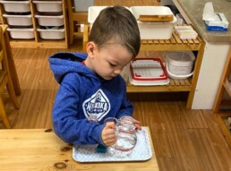 Lyonsgate Montessori School Casa student working at a Montessori pouring activity where he has to fill containers to marked lines.