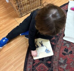 Lyonsgate Montessori School Toddler student working on a puzzle and seeing how shapes fit together to complete a picture.