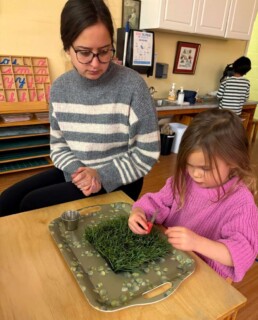Lyonsgate Montessori School Casa student learning to use tweezers to pull spiders (not real ones) out of the 