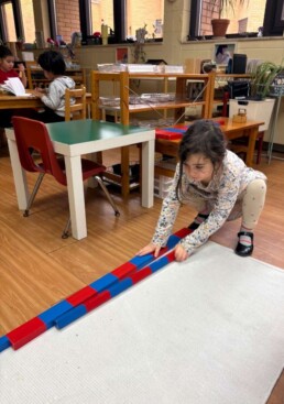 Lyonsgate Montessori School Casa student working with the Montessori Number Rods material that can be used to learn and experience length and measurement, the decimal system, and addition.