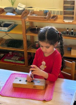Lyonsgate Montessori School Casa student working with on the Montessori screwdriver activity to develop both a practical skill and fine motor control.