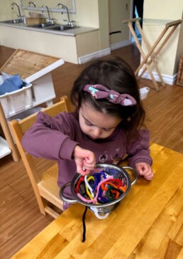It's not spaghetti. Lyonsgate Montessori School Toddler student developing fine motor skills by threading pipe cleaners through the holes of a colander.