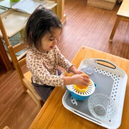Lyonsgate Montessori School Toddler student building hand strength and motor control skills by squeezing an orange.