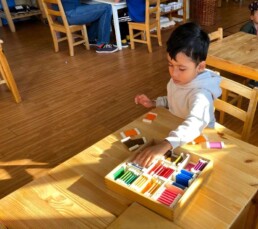 Lyonsgate Montessori School Casa student working with a Montessori Colour Box material to refine visual perception of colours and to build descriptive language.