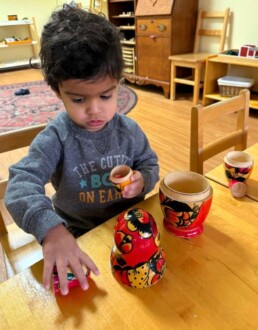 Lyonsgate Montessori School Toddler student exploring a nesting doll, which is a motor development activity at this age, and a cultural material and introduction to scientific taxonomy at older ages in Montessori.