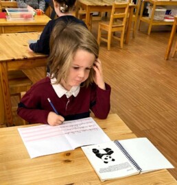 Lyonsgate Montessori School Casa student practicing reading and writing by writing about panda bears.