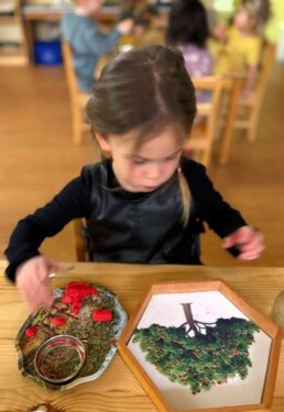 Lyonsgate Montessori School Casa student using tweezers to place 