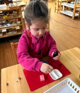 Lyonsgate Montessori School Casa student using a dropper to set up a Montessori Polishing activity.