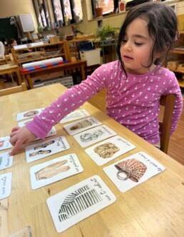 Lyonsgate Montessori School Casa student building her French language clothing vocabulary.