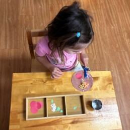 Lyonsgate Montessori School Toddler student 