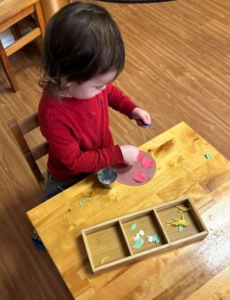 Lyonsgate Montessori School Toddler student 