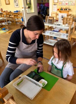 Lyonsgate Montessori School Casa student receiving a presentation of a Montessori Polishing activity (polishing wood) that helps to develop the cognitive practice of performing tasks in a specific sequence in order to achieve success.