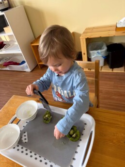 Lyonsgate Montessori School Toddler student helping to prepare snack by cutting up kiwis.