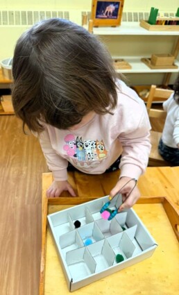 Lyonsgate Montessori School Toddler student building motor skills and concentration with a tweezing activity.