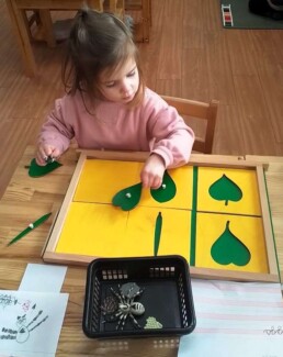 Lyonsgate Montessori School Casa student working with the Montessori Botany Cabinet material.