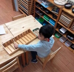 Lyonsgate Montessori School Casa students working together with the Montessori Spindle Box material to build a sense of quantity relative to number symbols.