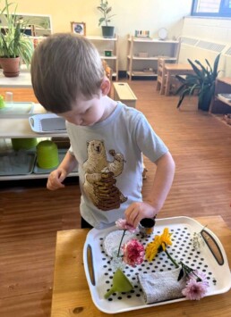 Lyonsgate Montessori School Toddler student engaged in the Montessori Flower Arranging activity.