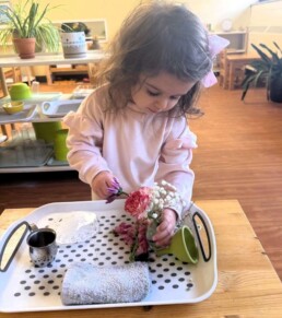 Lyonsgate Montessori School Toddler student engaged in the Montessori Flower Arranging activity.