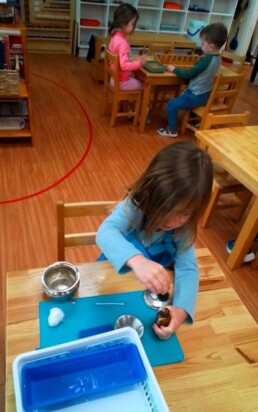 Lyonsgate Montessori School Casa student following a prescribed sequence of steps to achieve an observable goal with the Montessori Polishing Silver activity.