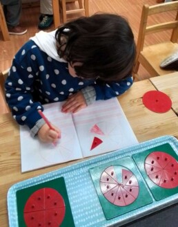 Lyonsgate Montessori School Casa student working with the Montessori Small Metal Inset material that introduces the concept of fractions.