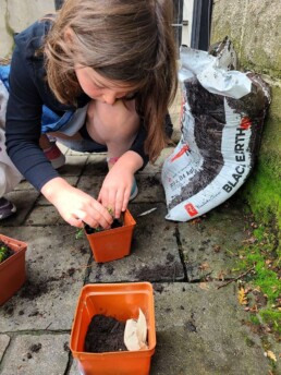 Lyonsgate Montessori School Elementary student engaged in spring and Earth Day botany experiments.