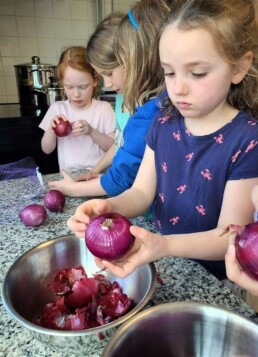 Lyonsgate Montessori School Elementary students making botanical dye from red onions.