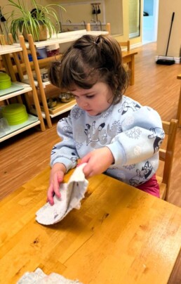 Lyonsgate Montessori School Toddler student folding cloths in the classroom, an activity that teaches a practical skill and builds both focus and motor skills.