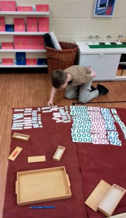 Lyonsgate Montessori School Casa student working with the Montessori Large and Small Number Cards materials.