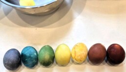 Lyonsgate Montessori School Elementary students created rainbow eggs dyed with onion, turmeric, beets, cabbage, and blueberries.