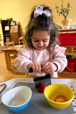 Lyonsgate Montessori School Toddler student building confidence and independence through a practical life activity of preparing apple slices to eat.