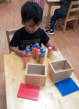 Lyonsgate Montessori School Casa student refining his auditory discrimination with the Montessori Sound Cylinders material by matching the red and blue cylinders that make the same sound when shaken.