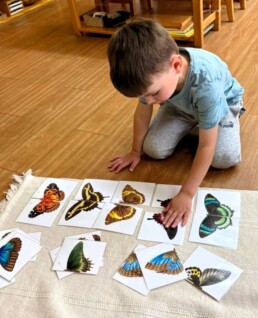 Lyonsgate Montessori School Casa student learning the concept of symmetry.