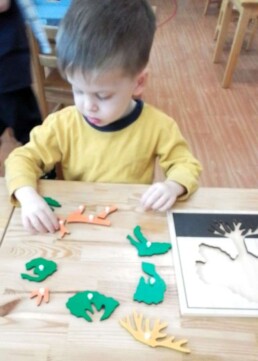 Lyonsgate Montessori School Casa student working with a Montessori Parts of a Tree puzzle material that progresses from assembly in the frame to assembly out of the frame, to tracing the outline, to labelling the parts.