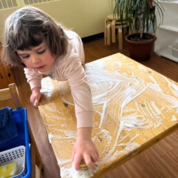 Lyonsgate Montessori School Toddler student cleaning a classroom table to develop a practical life skill and to learn to follow steps in a prescribed order to achieve observable success.