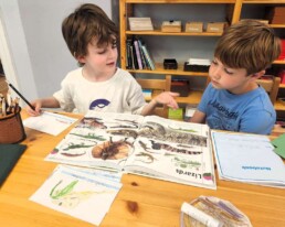Lyonsgate Montessori School Elementary students engaged in