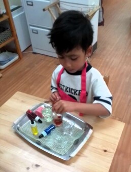 Lyonsgate Montessori School Casa student learning about mixing primary colours, and improving fine motor competency with droppers.