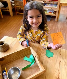 Lyonsgate Montessori School Casa student engaged in a cutting extension activity -- cutting out shapes like carrots and cactuses -- to refine motor and practical skills.