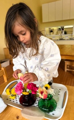 Lyonsgate Montessori School Toddler student engaged in the Montessori Flower Arranging activity.
