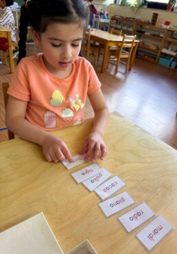 Lyonsgate Montessori School Casa student using French phonetic cards to build French language vocabulary and skills.