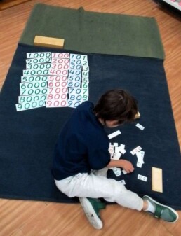 Lyonsgate Montessori School Casa student progressing through numeracy work with the Montessori Large and Small Number Cards materials.