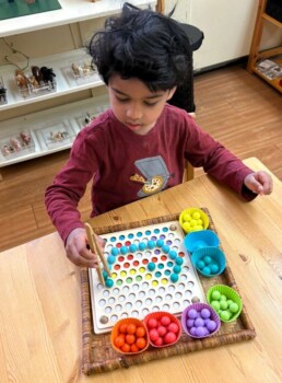 Lyonsgate Montessori School Casa student using tongs to pick up and place balls to recreate a pattern -- an activity to build fine motor skills and concentration in preparation for later writing and manipulatives work.
