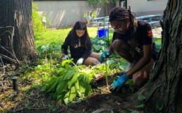 Lyonsgate Montessori School Elementary students planting alliums in the outdoor classroom.