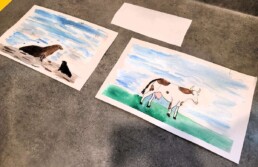 A Lyonsgate Montessori School Elementary student's watercolour paintings.