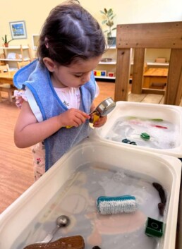 Lyonsgate Montessori School Toddler student exploring sensory play with the water bins by scrubbing and pouring with different materials.
