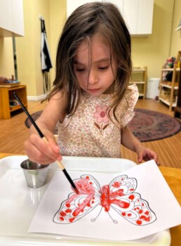 Lyonsgate Montessori School Toddler student building the skills needed for later writing and creative work by colouring in a butterfly with paint.