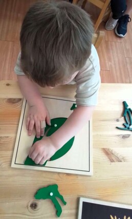 Lyonsgate Montessori School Casa student working with a Montessori Parts of... puzzle that develops the pincer grip, visual-spatial problem solving, and leads to early botany work.